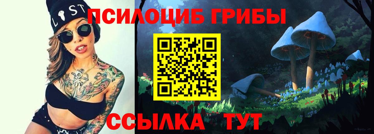Псилоцибиновые грибы Psilocybe Нижневартовск